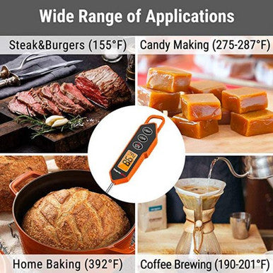 ThermoPro TP01H Digital Meat Thermometer with Long Probe
